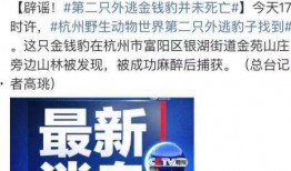 黑龙江特岗爆料事件最新,真相与反思并行